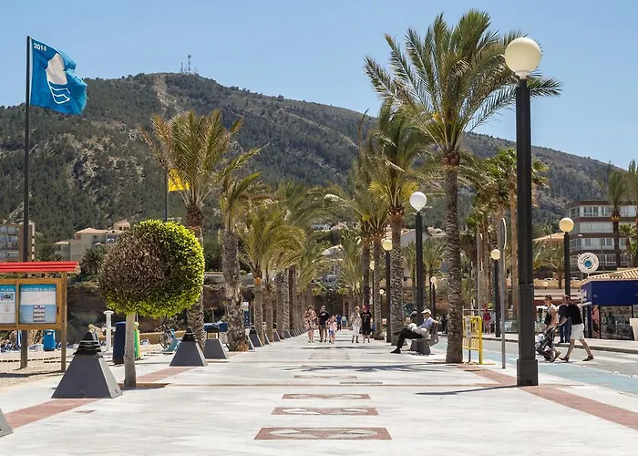 Azul Albir アルビール
