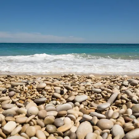 فيلة Azul Albir البير