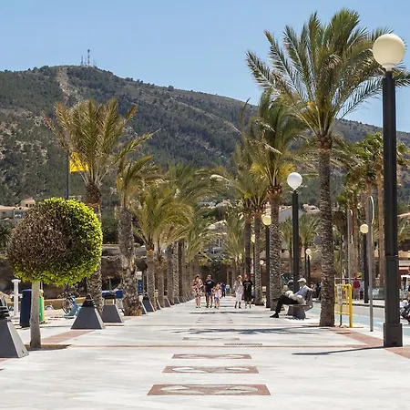 Azul Albir البير